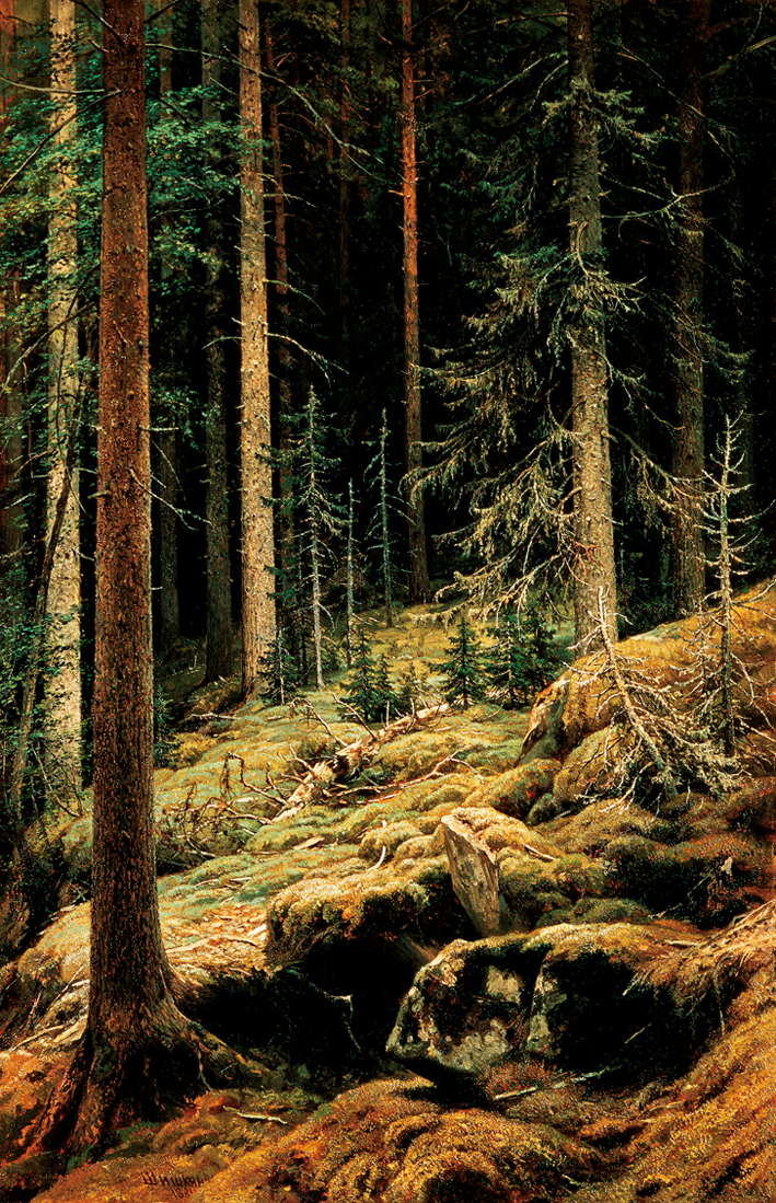  伊凡·伊凡诺维奇·希施金 Ivan I. Shishkin —— Ivan Shishkin-066